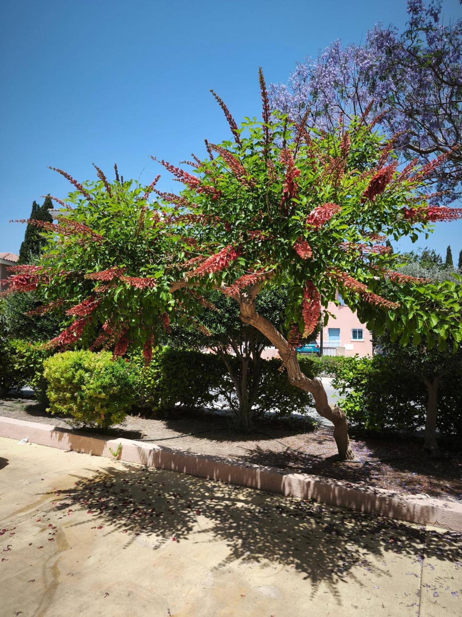 Eden Gardens Villa Paphos Luaran gambar
